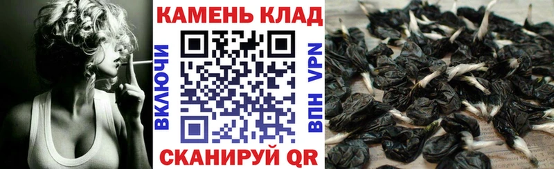 ГАШ индика сатива Великий Новгород