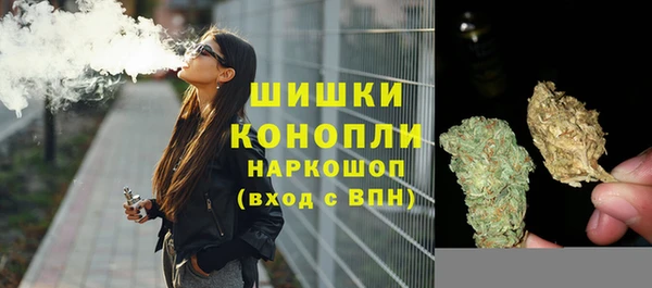 МДПВ Гусев