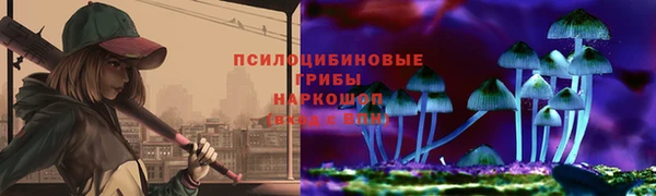 МДПВ Гусев