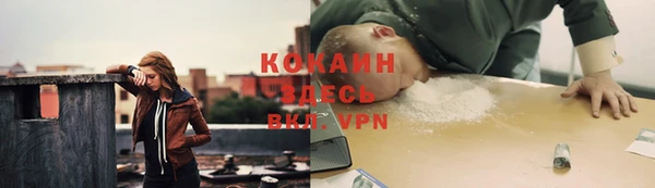 МДПВ Гусев