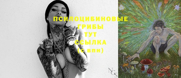 mix Гусиноозёрск