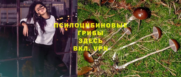 амф Горно-Алтайск